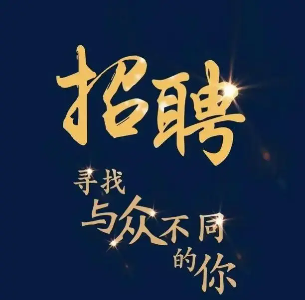 招聘标书制作人员！！！！